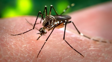 Vicente López brinda recomendaciones para prevenir el Dengue, Zika y Chikungunya