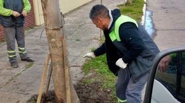 San Fernando realizó tareas de limpieza en el área afectada por la Sudestada