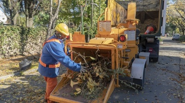 San Isidro: comenzó el Plan Anual de Poda Sustentable