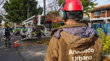 Continúan los trabajos de poda en Vicente López