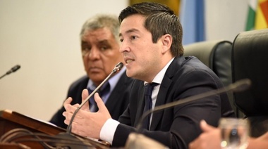 Nardini: "La oposición miente para hacer su campaña política"