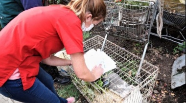 Rescatan cerca de 600 animales de un criadero clandestino
