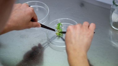 PIUNAHUR 2023: Se aprobaron 34 nuevos proyectos de investigación