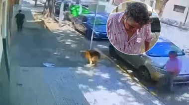 Una mujer, atacó a palazos a un hombre que le pidió que junte la caca de su perro en Boedo