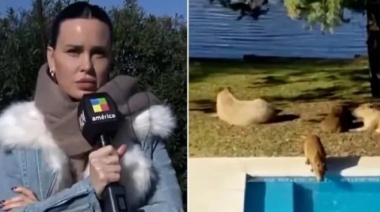 Natalie Weber denunció que los carpinchos invadieron su casa en Nordelta