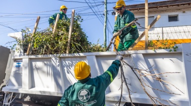 San Isidro: el Plan Integral de Arbolado ya sumó 1500 nuevos árboles y se hicieron 3000 podas