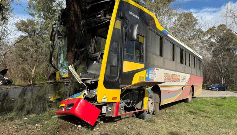 Berisso: más de 15 pasajeros resultaron heridos tras el choque entre un colectivo de la Línea 202 y un auto