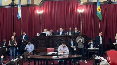 En una sesión presidida por Vivona el Senado bonaerense avanzó con la modificación a la ley de adopción