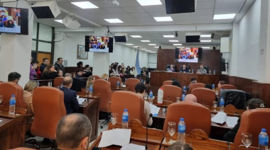 San Martín: el Concejo Deliberante aprobó repudio a los decretos de Milei que liberan importaciones