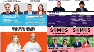 Lo que dejó la elección 2025 en San Martín