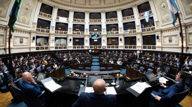Sesión: Se aprobó el proyecto que regula la actividad de los acompañantes terapéuticos