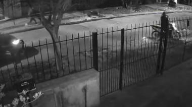 Morón, tierra de nadie: Otro violento intento de robo en Castelar