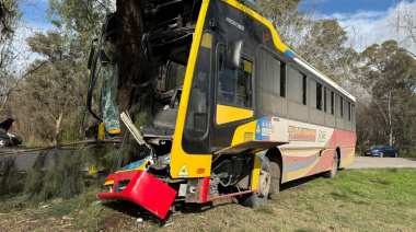 Berisso: más de 15 pasajeros resultaron heridos tras el choque entre un colectivo de la Línea 202 y un auto