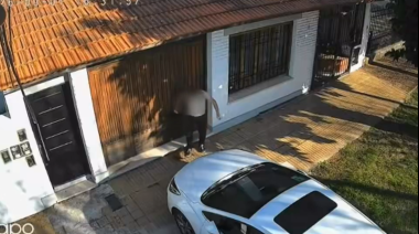 Acarició a un gato, miró hacia los costados y segundos después lo agredió brutalmente