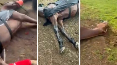 Un rayo mató a cuatro caballos en el Jockey Club de San Isidro y dejó herido a un cuidador