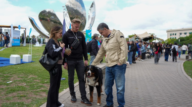 La Ciudad impulsa una identificación única y una libreta sanitaria digital para perros y gatos