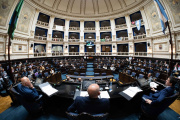 Sesión: Se aprobó el proyecto que regula la actividad de los acompañantes terapéuticos