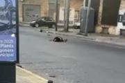 Quilmes: un motociclista murió degollado por una soga que los vecinos usaron para cortar la calle en los carnavales