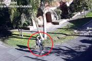 Dos delincuentes cometieron un ilícito en General Pacheco y quedaron detenidos