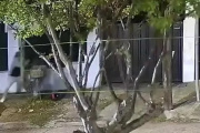 Tenía una perimetral y atacó a su ex durante más de tres cuadras: la golpeó con un casco y fue detenido