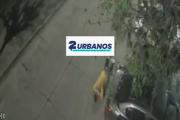 Brutal ataque en Tapiales: evitó que le robaran y los motochorros le dispararon por la espalda