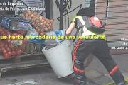 Un individuo fue aprehendido en General Pacheco luego de hurtar mercancía de una verdulería
